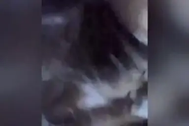 Dokumentasi Gadis Cantik Bersantai Kamar Mandi